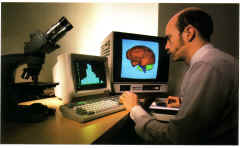 ik-cust-01.JPG (398084 bytes)