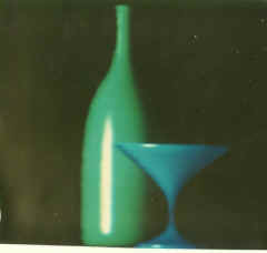 ncsu-08.jpg (29504 bytes)